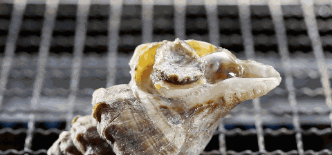 可以凭据小我爱好,淋些调味酱汁嫩滑的鲍鱼正正在炉上扭着丰腴的身躯