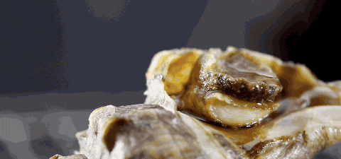 佐味可以凭据小我爱好,淋些调味酱汁嫩滑的鲍鱼正正在炉上扭着丰腴的