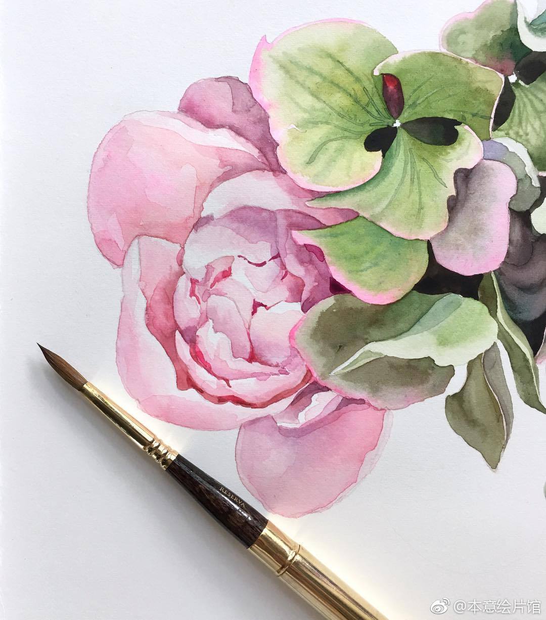 花卉水彩作品欣赏 | ins : salamatina_zhenya