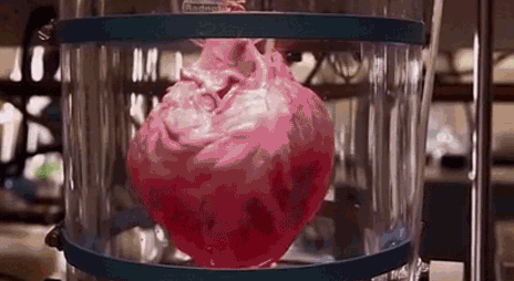 的是让身体自我修复(上篇)|干细胞|干细胞治疗|造血干细胞_新浪新闻