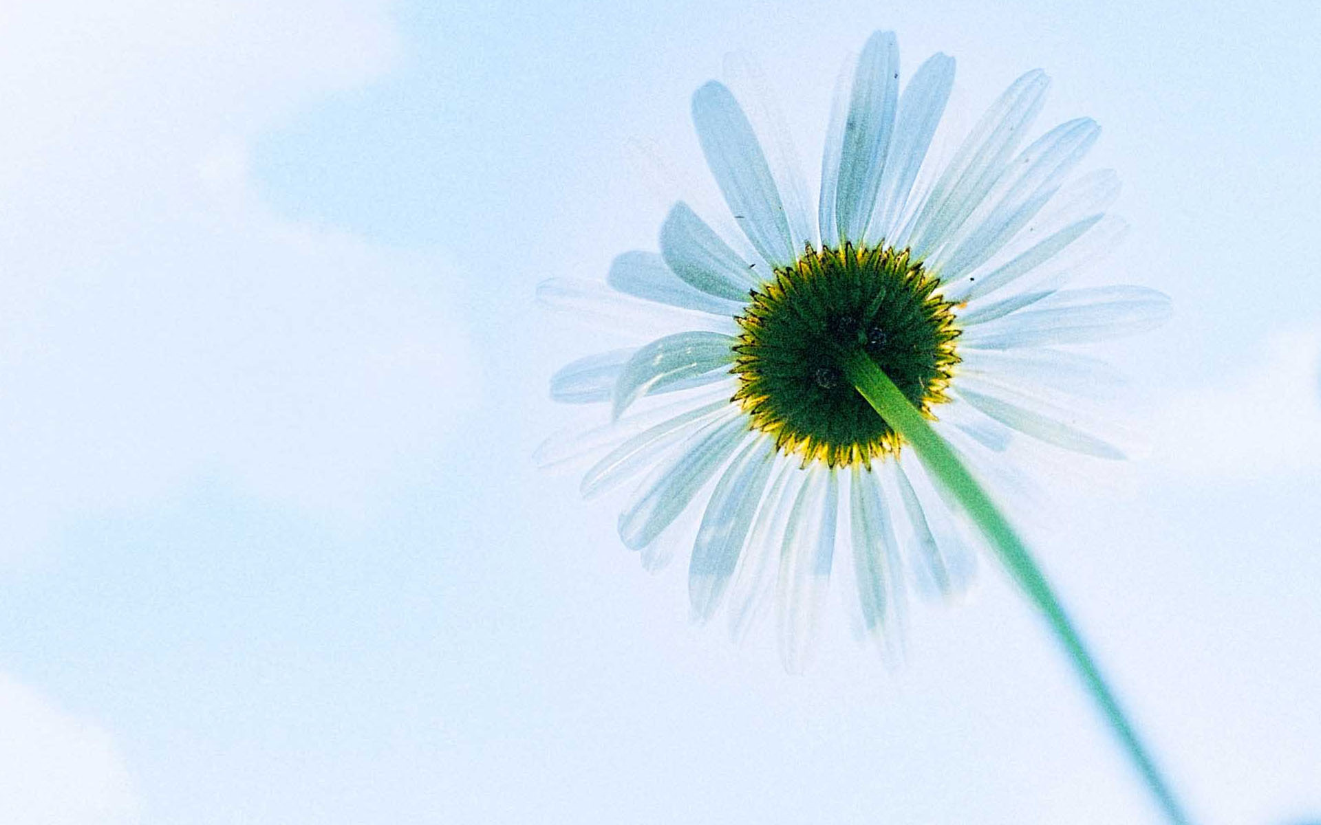 不要赌天意,不要猜人心