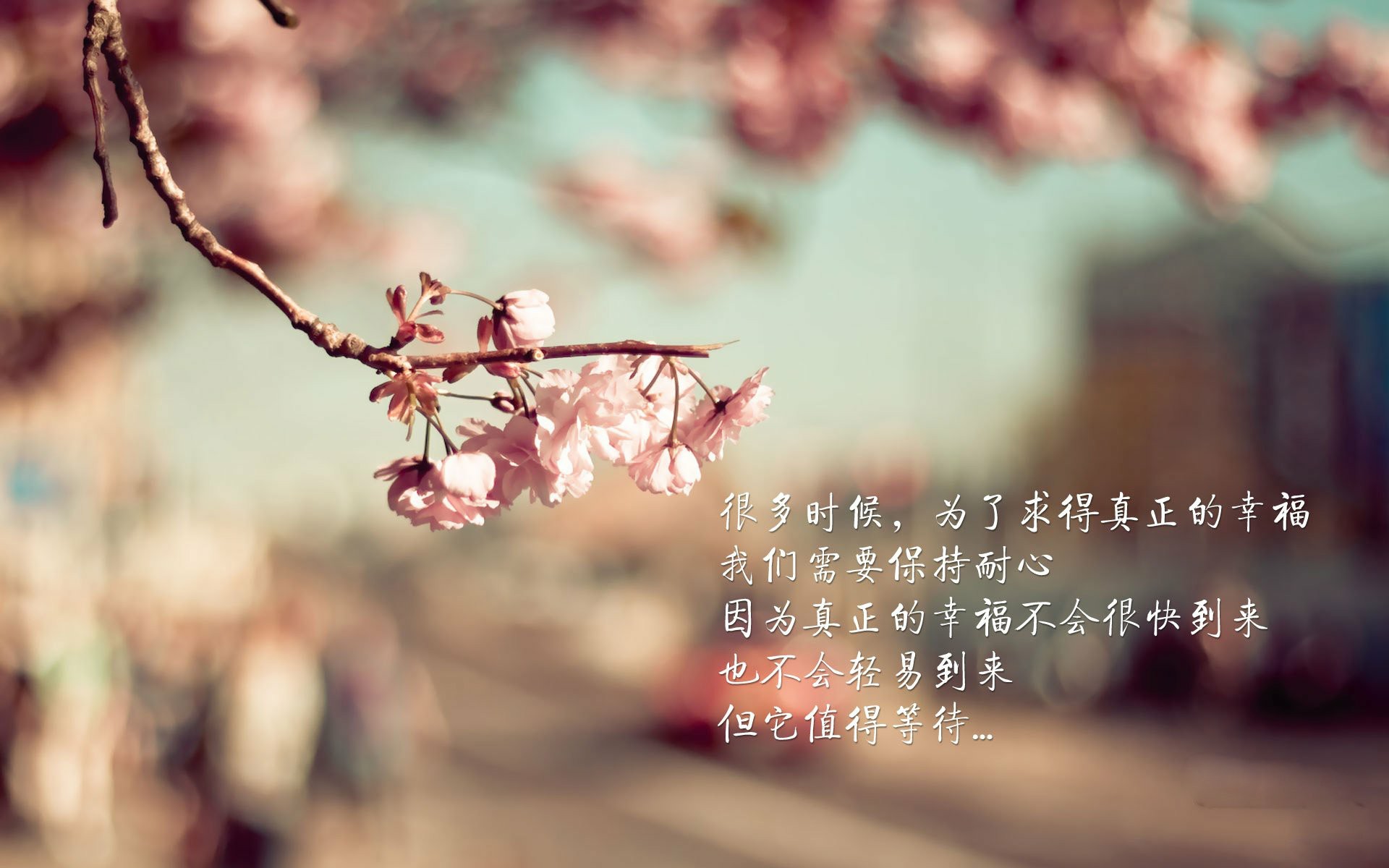 唯美语录 唾沫是用来数钞票的,而不是用来讲道理的