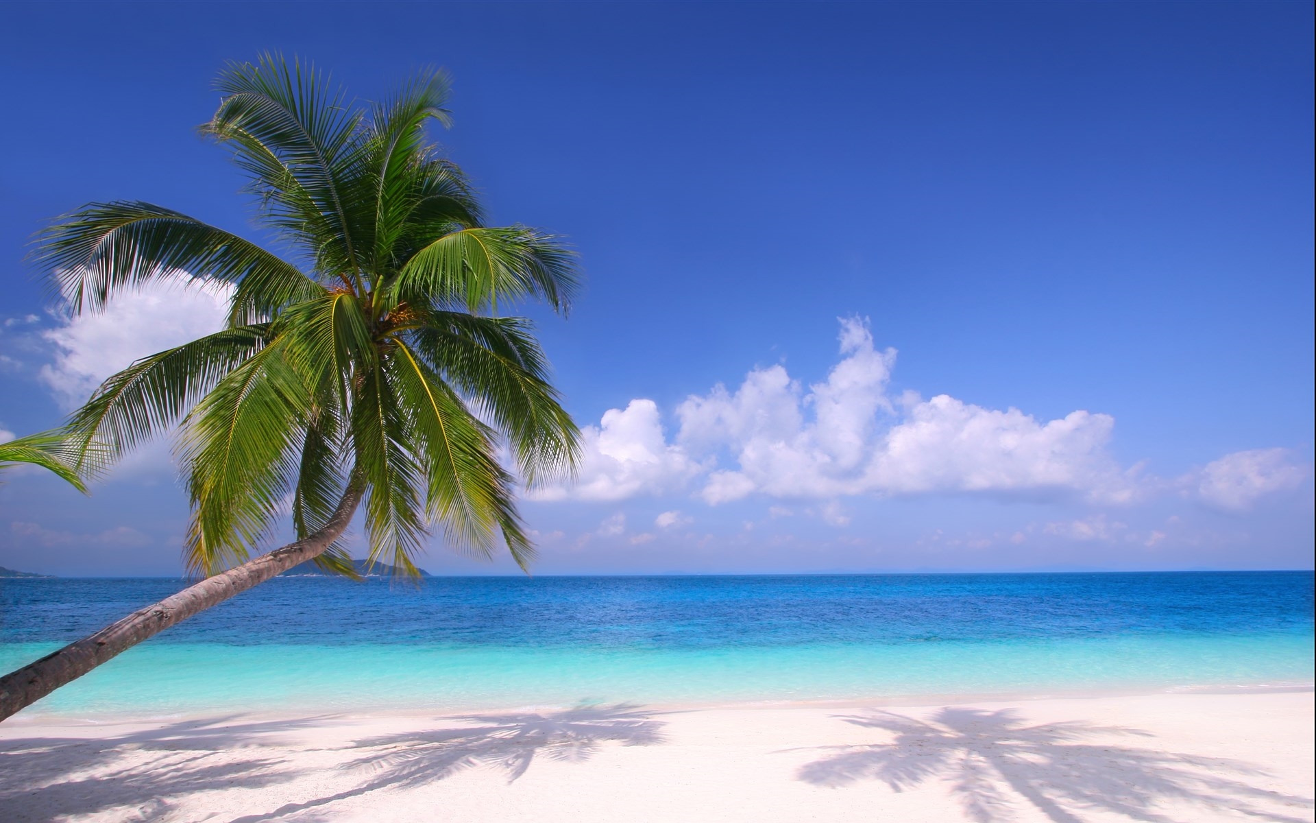 脑筋急转弯男女都有婴儿却没有打一人体部位答案笑疯人了