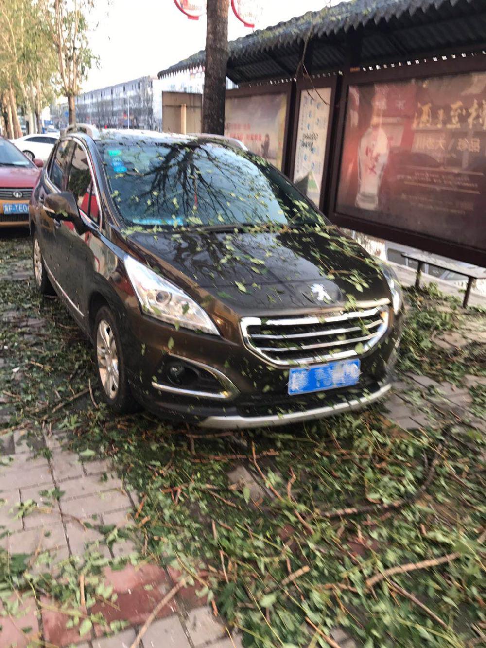 一场冰雹后, 告诉你什么品牌的汽车质量最可靠