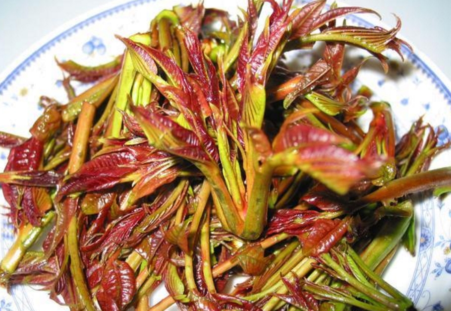 这东西春天不吃就亏了,既是菜也是中药,有保健美容的良好功效