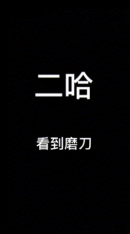 哈士奇看到磨刀:我错了!二哈看到磨刀:是不是嫌我拆的不够快!
