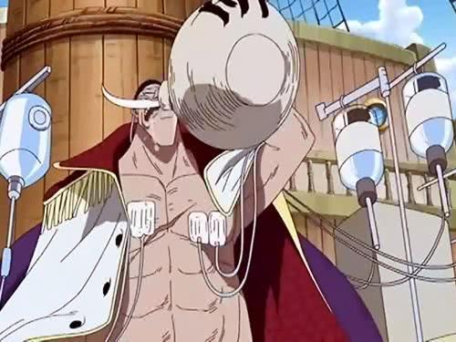 作为仅有的几位去世人物之一,白胡子的原型比较特殊,他的灵感来源于