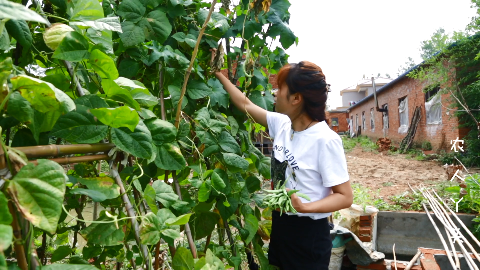 河南农村有名的焖面,娟子一次做了一锅好久没吃过家乡的味道了