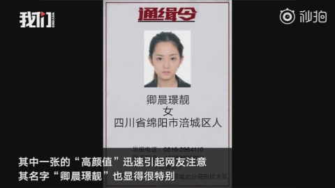 卿本佳人:通缉令上高颜值女嫌犯火了 网友:卿本佳人何做贼