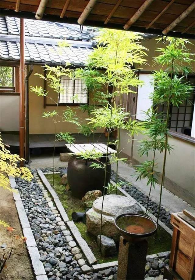 回农村建个院子,和你慢慢变老