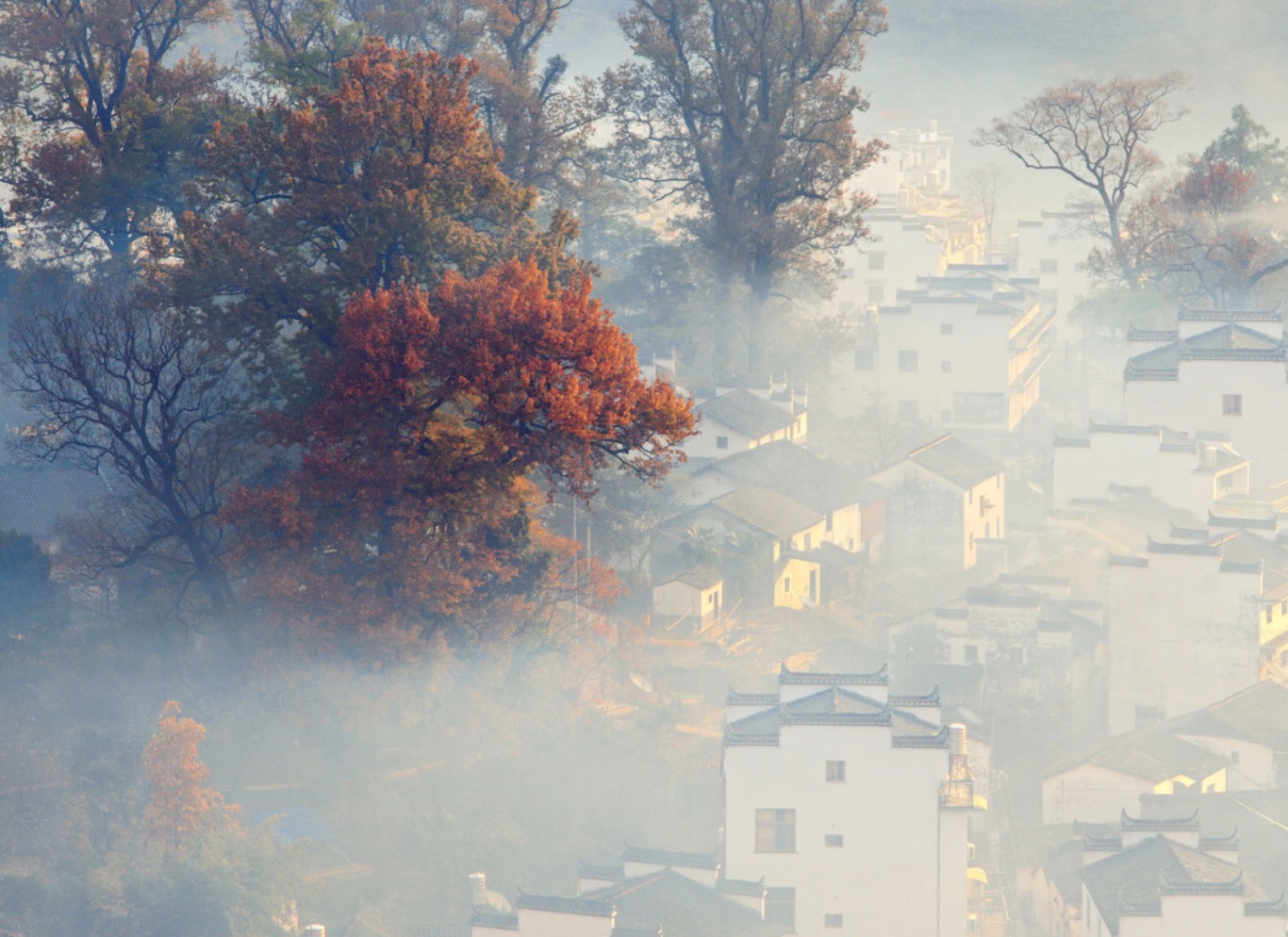 人烟寒橘柚,秋色老梧桐.