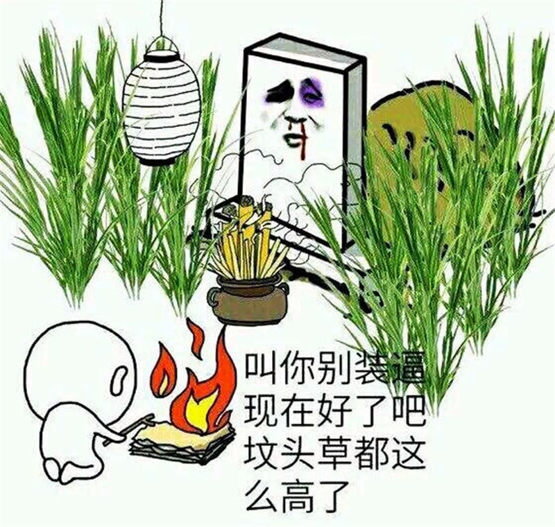 再来张表情包,哈哈!这就是白胡子最后的下场.