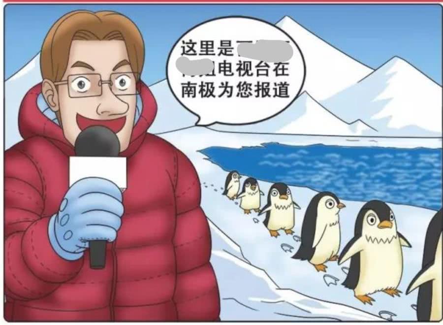 他们每天的生活都是吃饭睡觉打豆豆采访到了豆豆