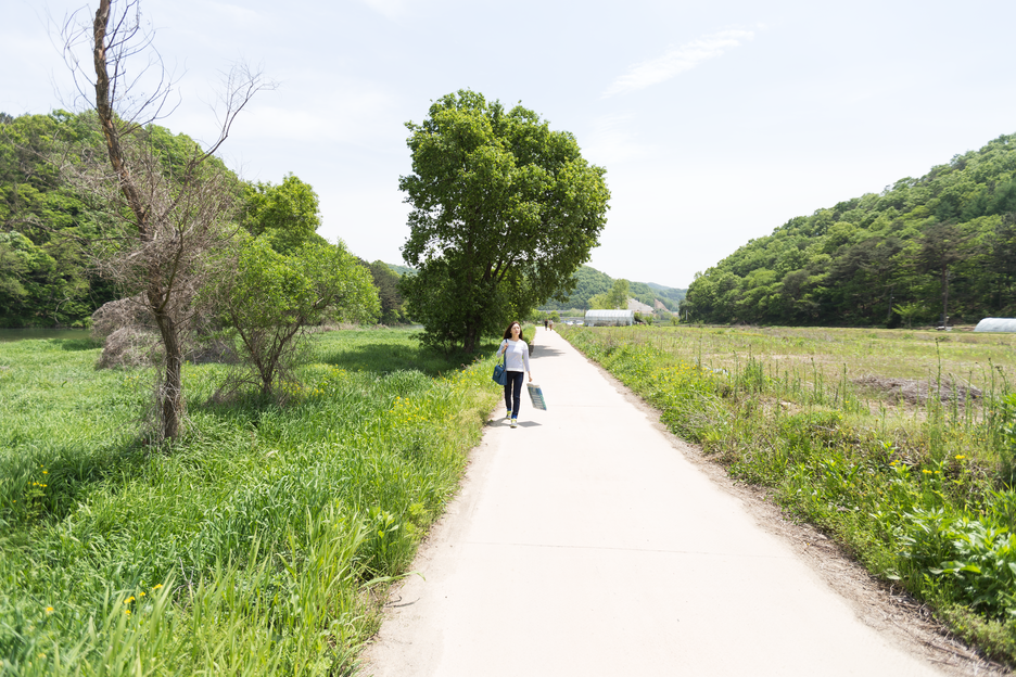 一个走在景色秀美乡间小路上的美女|人像|在路上|摄影_新浪新闻