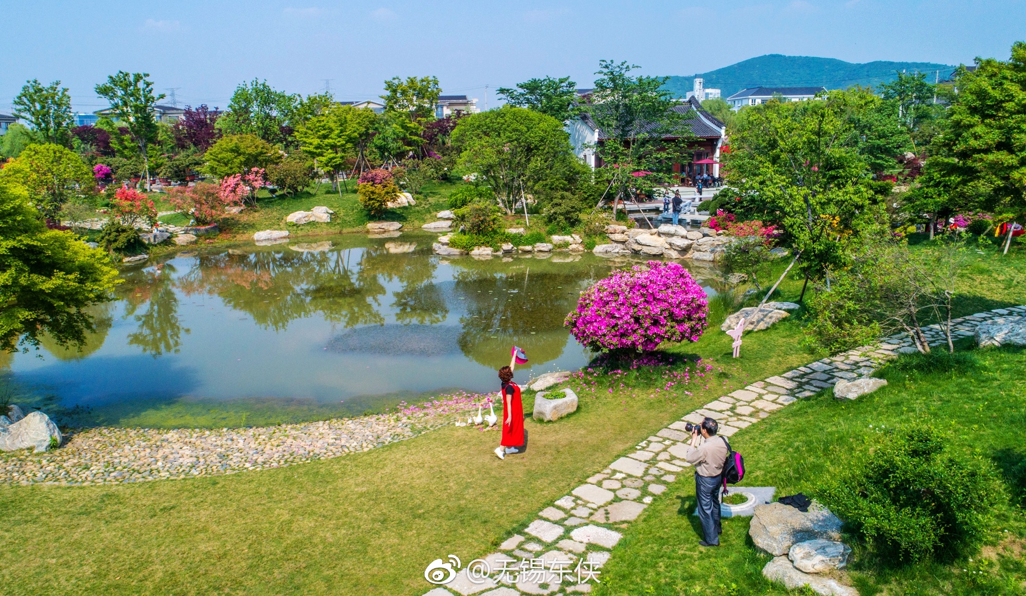无锡滨湖九龙湾花彩小镇首届花朝节_新浪看点