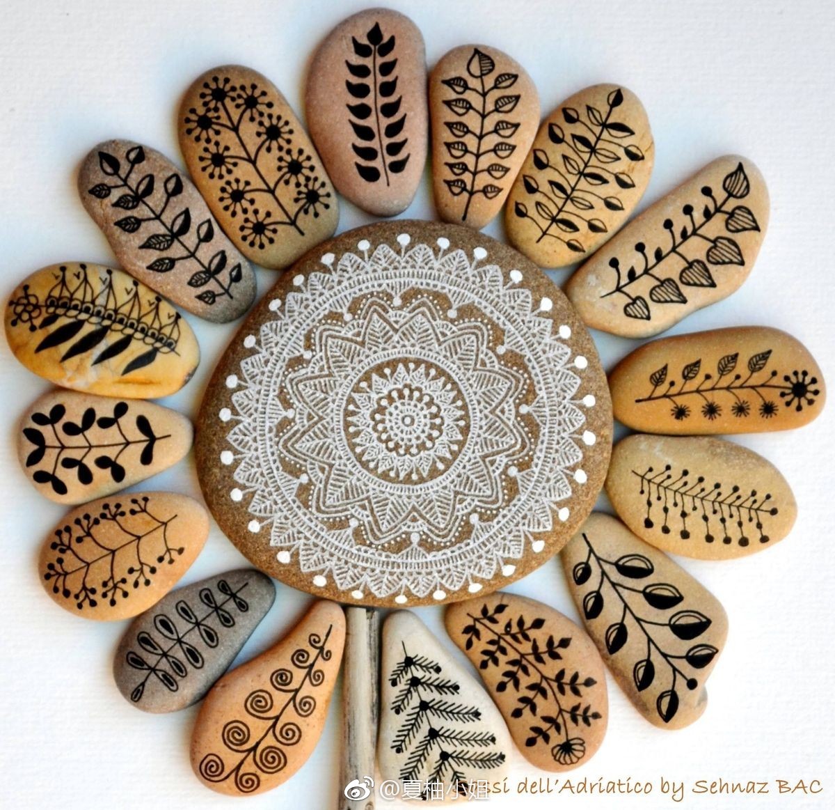 植物线描石头画