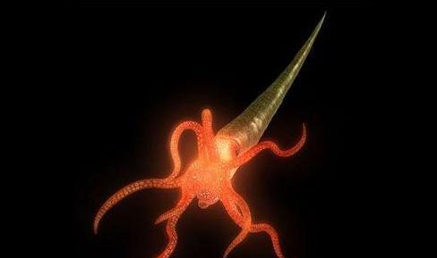 世界上灭绝的奇怪海洋生物: 矛齿鱼, 幻龙!