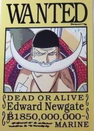 第1名四皇惹不起,第2名悬赏18亿|罗杰|海贼|白胡子_新浪新闻