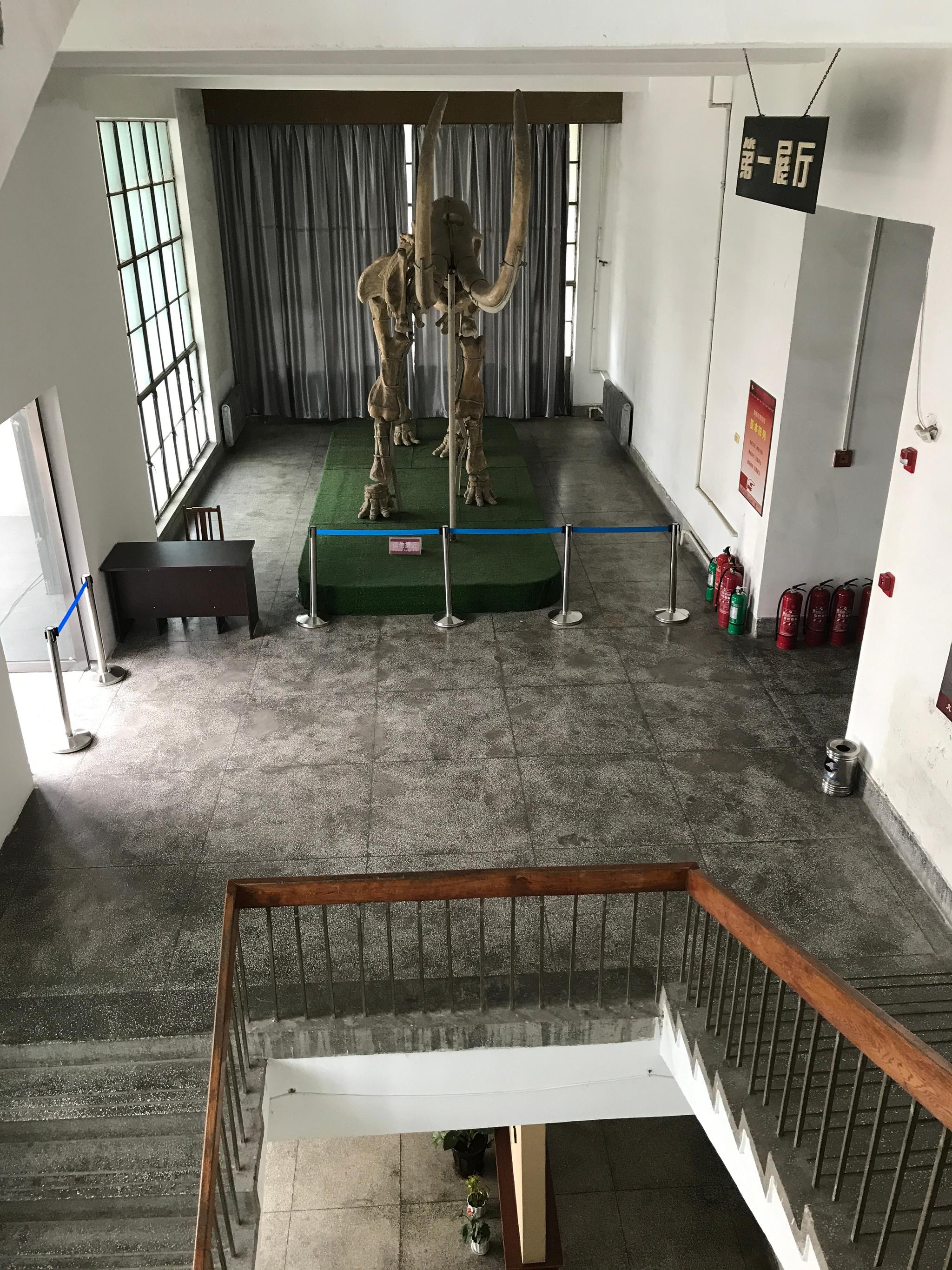 打卡阜新市博物馆!规模不大,只有我一个人参观,工作人员非常热情