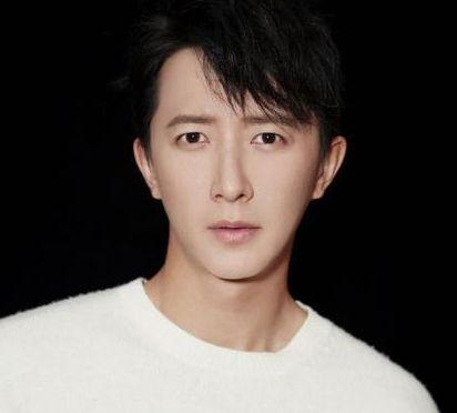 盘点被湖南卫视雪藏明星,韩庚竟上榜,魏晨被封杀,而他却坐牢!