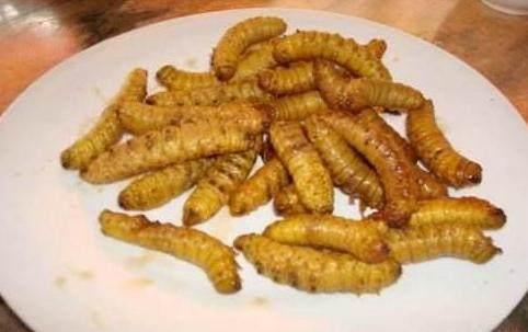 其实因为它是高蛋白,具有非常高的营养价值.