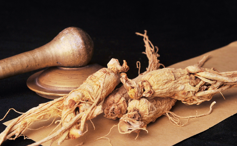 最常见的3味补气中药,侧重有不同