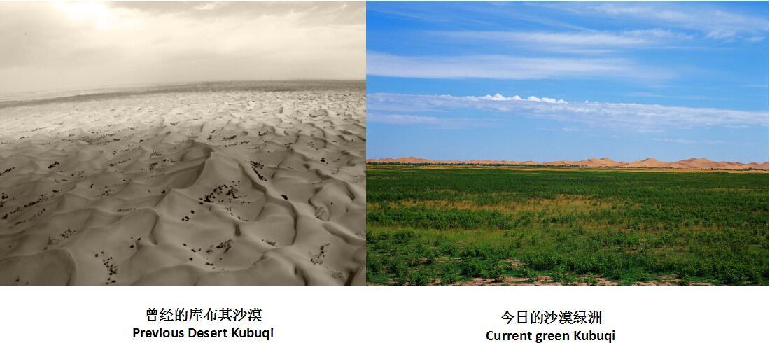 天了噜!中国模式正在被全世界复制!