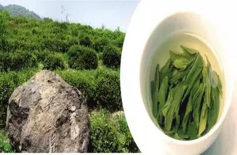 蜈蚣岭|黄山区|屯绿_新浪新闻