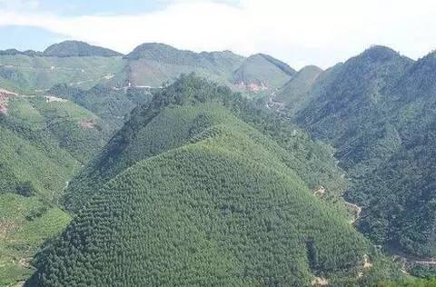 风水学中的龙脉走向是什么意思