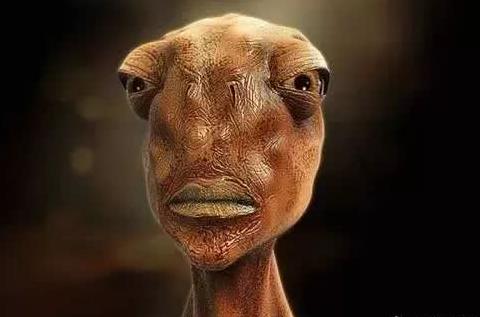 地球人将于百年内与外星人取得联系,当务之急是靠什么交流