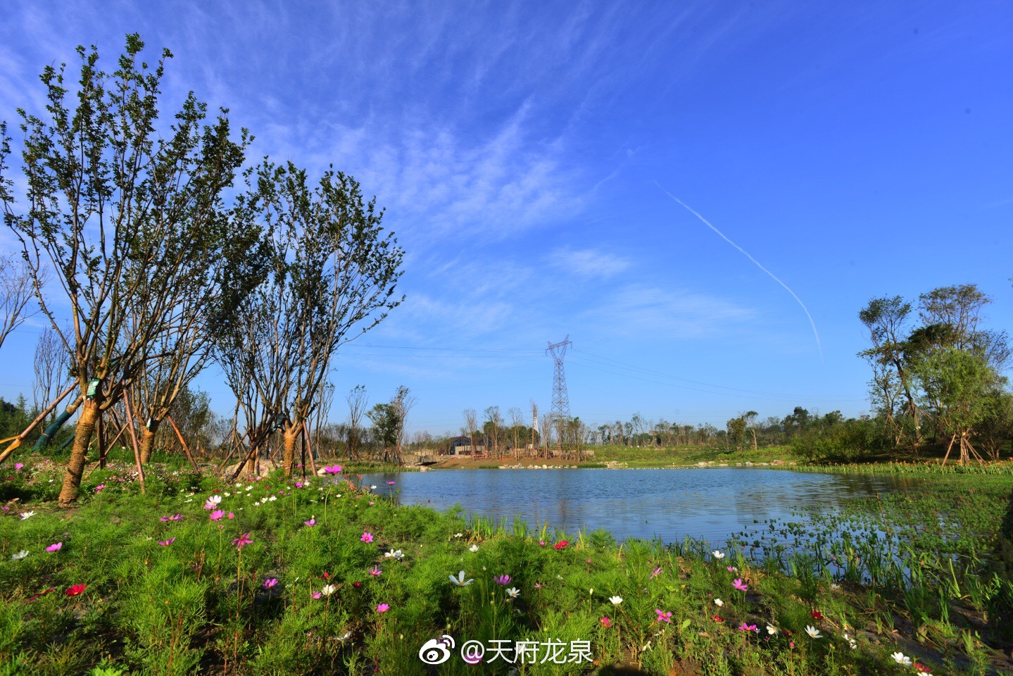 龙泉驿新晋网红打卡地:高颜值的玉石湿地公园等着你!