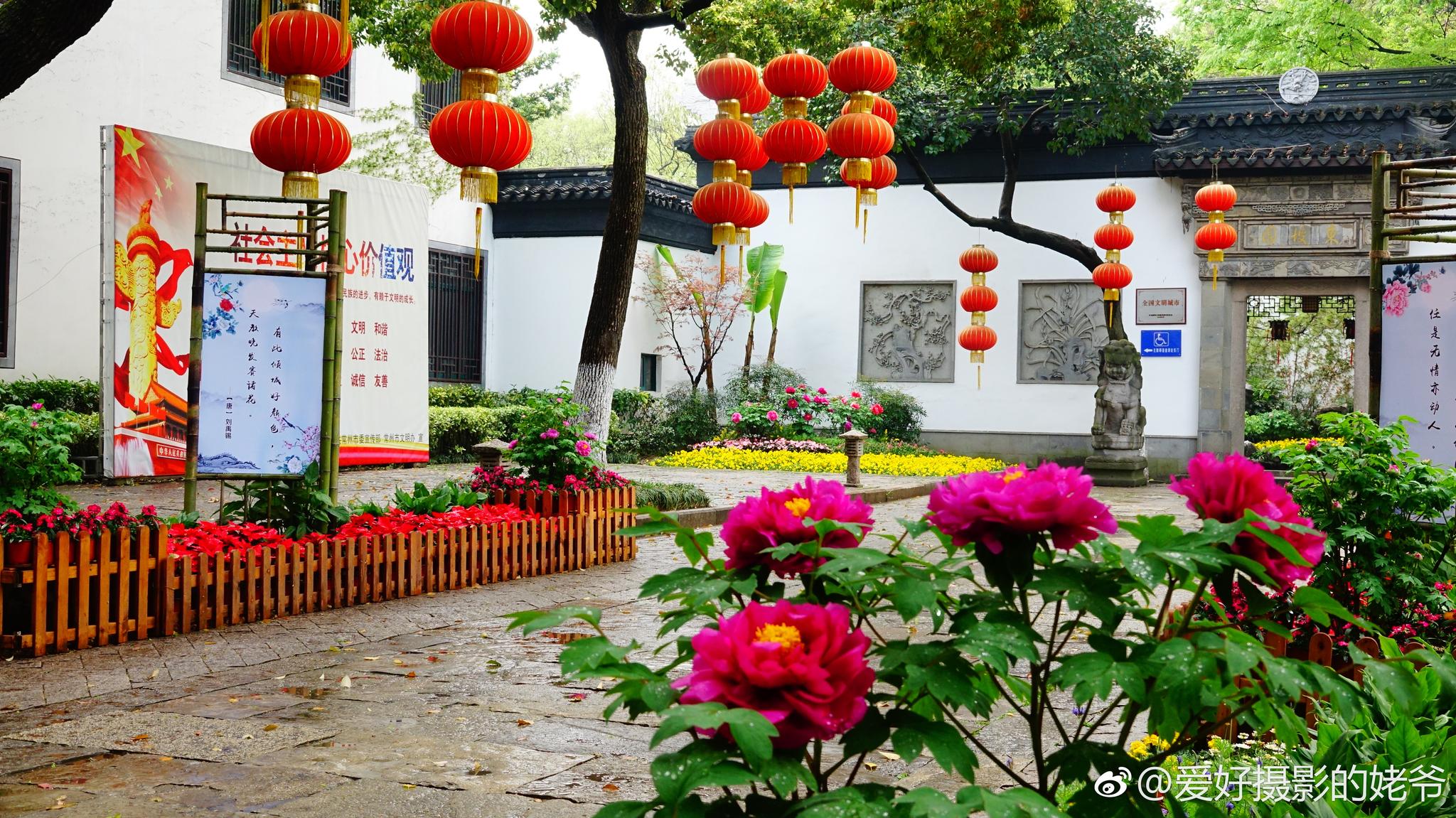 主题拍照地常州东坡公园牡丹花展会开辟了几个主要景点