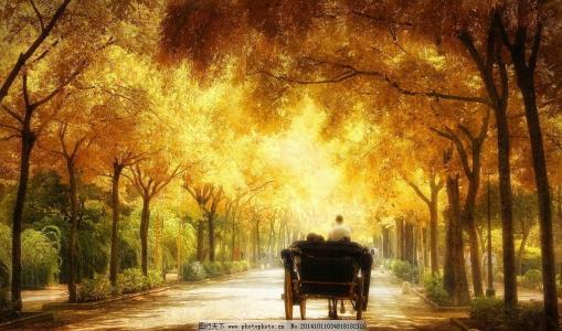 我们彼此伤害辜负生活没有牛郎织女有些爱只能止于唇齿掩于岁月