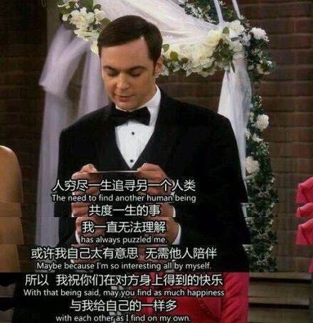 追寻爱情与事业的成语