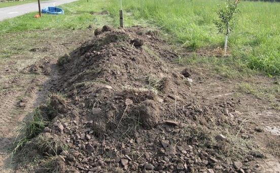 男子听到路边土堆传出怪声, 挖开土后就出一只爱宠