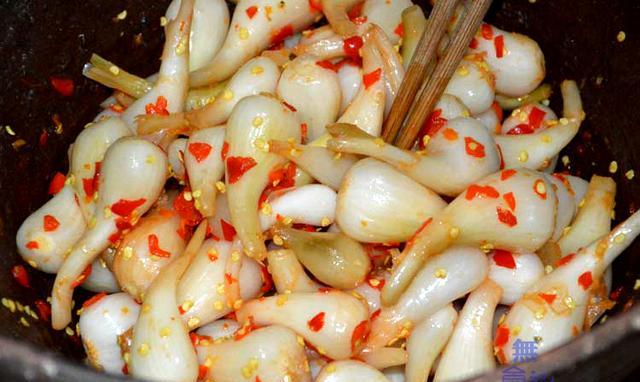 然后把拌好的荞头装在一个密封罐里面 ,等他慢慢发酵.