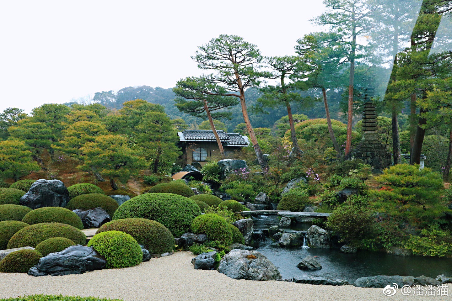 一瞥事件：惠州泰美小巷子的爱情真的存在吗？隐藏在巷弄中的情感真相究竟是什么