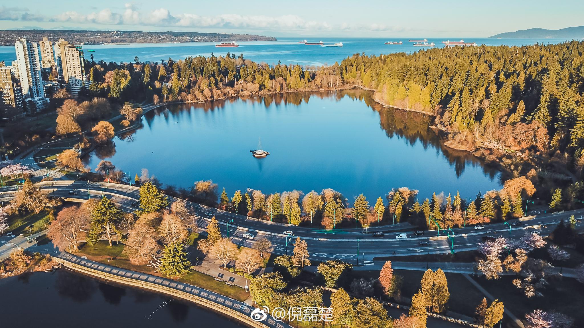 加拿大 9896 温哥华