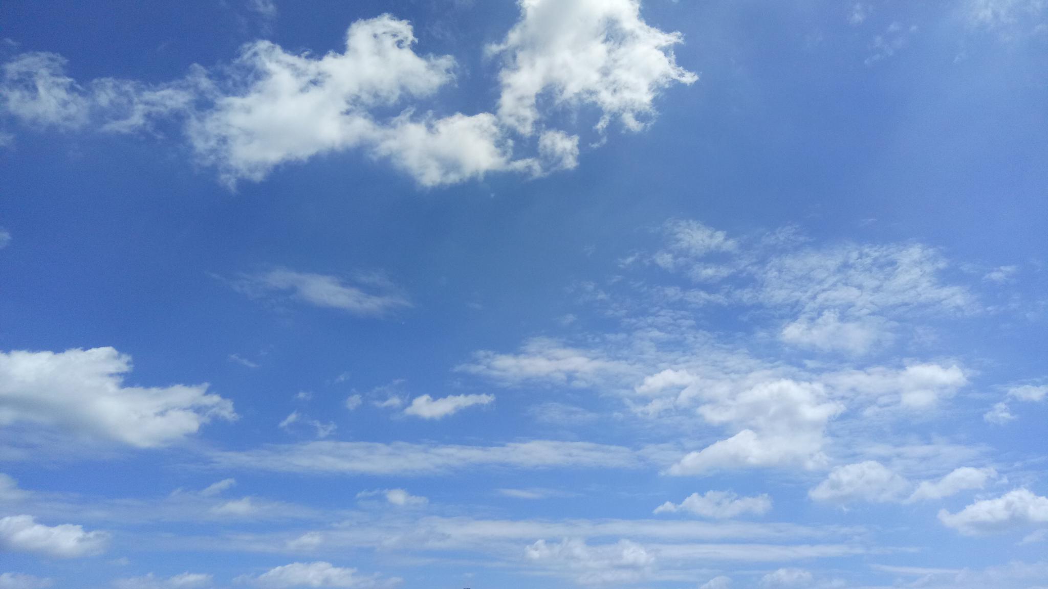 今日份的成都蓝天,要是你刻意,能够假装在东南亚了