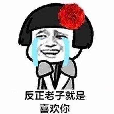 反正老子就是喜欢你强势撩妹表情包