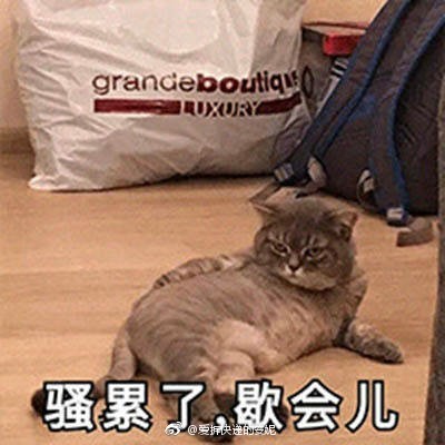 最全网|二次元|全称|分享网_新浪新闻