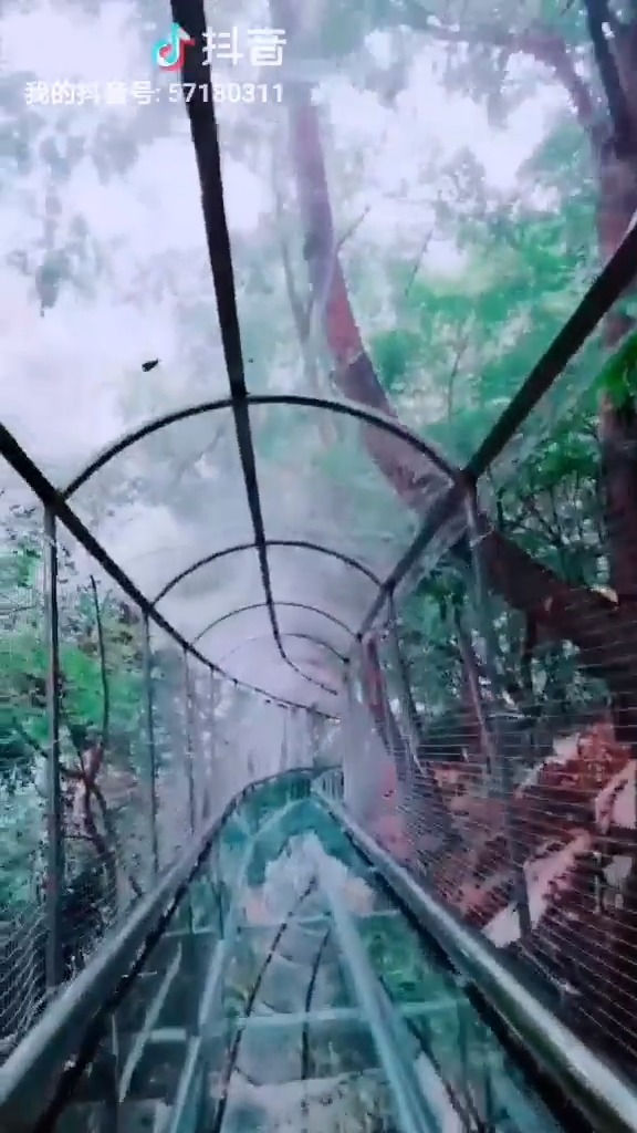 本溪南芬大峡谷玻璃滑道敢去玩吗?@金琎 @本溪社长 @本溪热门资讯