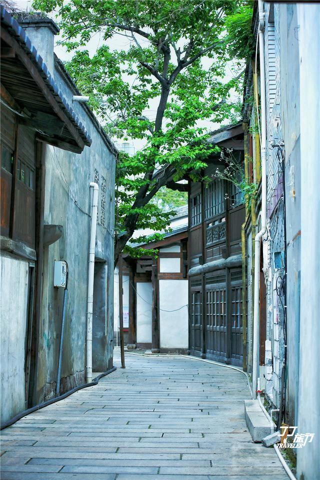 上下杭有什么好的,大榕树破房子和民国风扑面而来