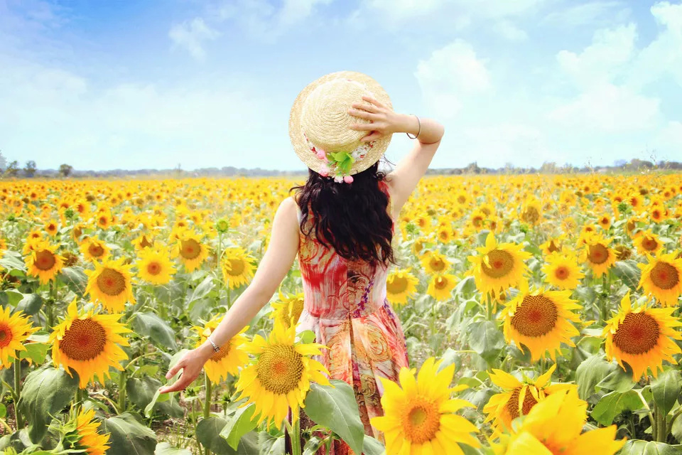 馨雅摄   :已标明出处,部分来源网络 编辑:杨洁,魏梦琼 监审:徐峰