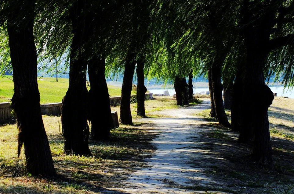 树阴满地日当午,梦觉流莺时一声.