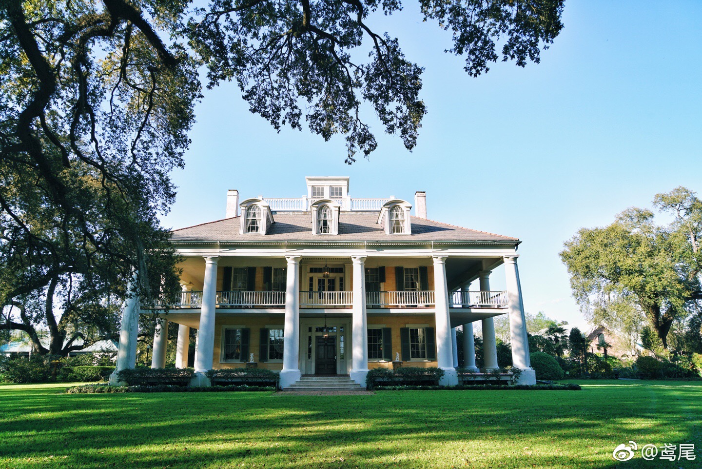 说起美国南方,就不得不联想到庄园|南方|庄园|乱世佳人_新浪新闻