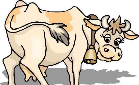 2018犯太岁生肖龙,狗,牛,羊,鸡的感情运势