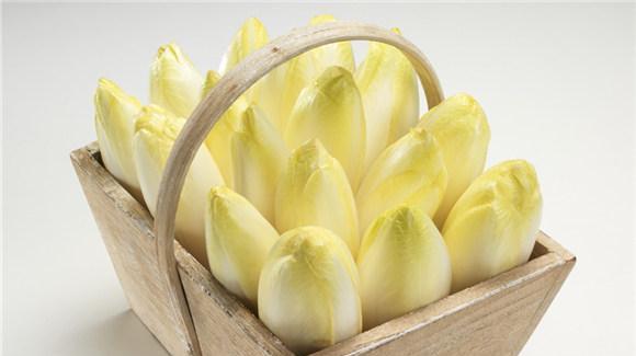 药食两用的菊苣, 做法也是洋气到爆! 赶紧来 get 吧