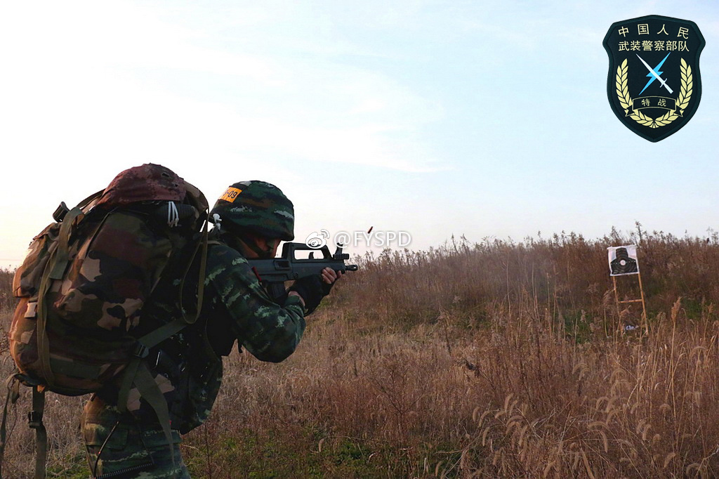 武警上海总队机动第一支队特战大队猎豹突击队