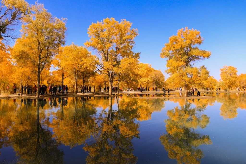 杨国家森林公园喀纳斯是集冰川,湖泊,森林,草原,牧场,河流,民族风情